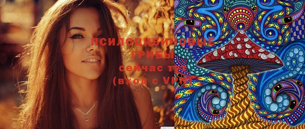 герыч Вяземский