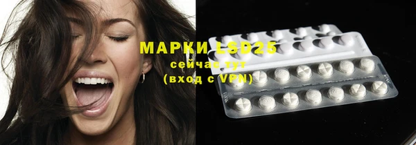 индика Вязьма