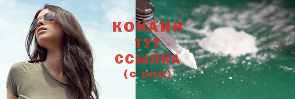 индика Вязьма