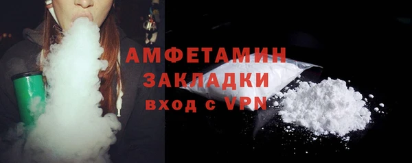 индика Вязьма