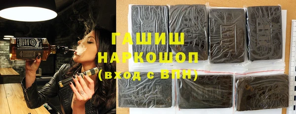 индика Вязьма