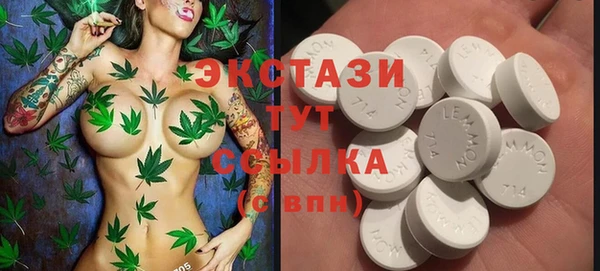индика Вязьма