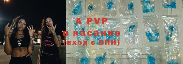индика Вязьма