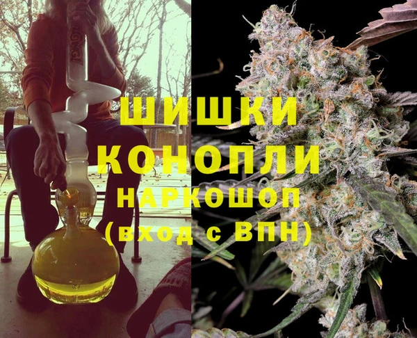 индика Вязьма