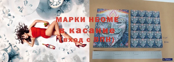 индика Вязьма