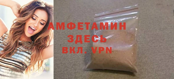 индика Вязьма